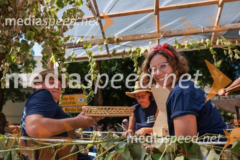 44. Lendavska trgatev