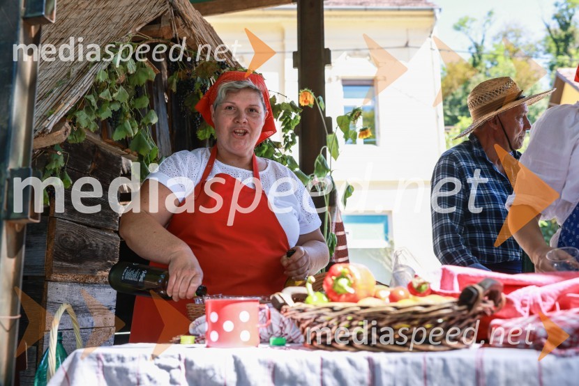 44. Lendavska trgatev