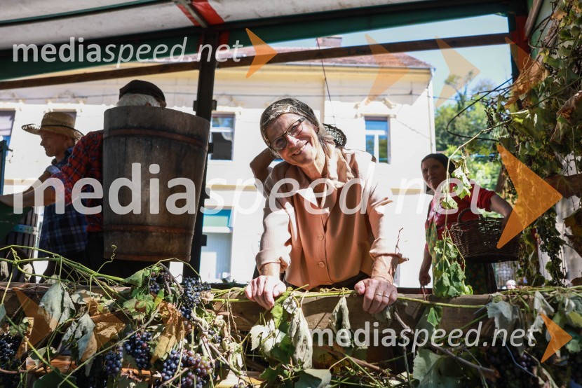 44. Lendavska trgatev