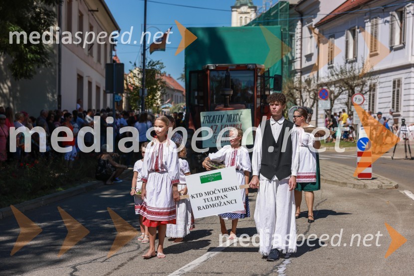 44. Lendavska trgatev