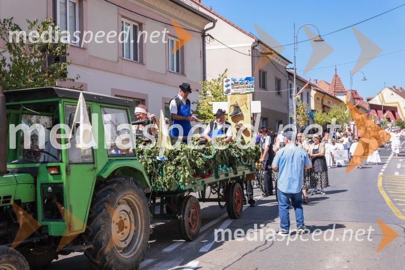 44. Lendavska trgatev