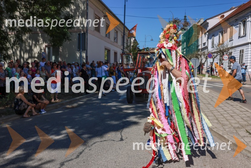 44. Lendavska trgatev