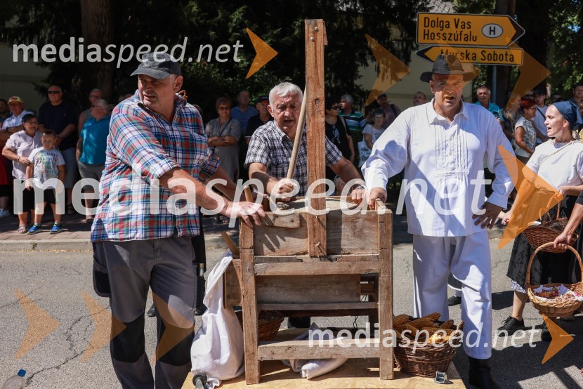 44. Lendavska trgatev