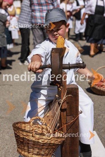 44. Lendavska trgatev