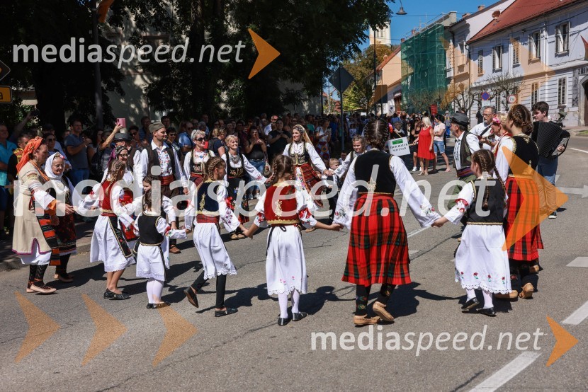 44. Lendavska trgatev