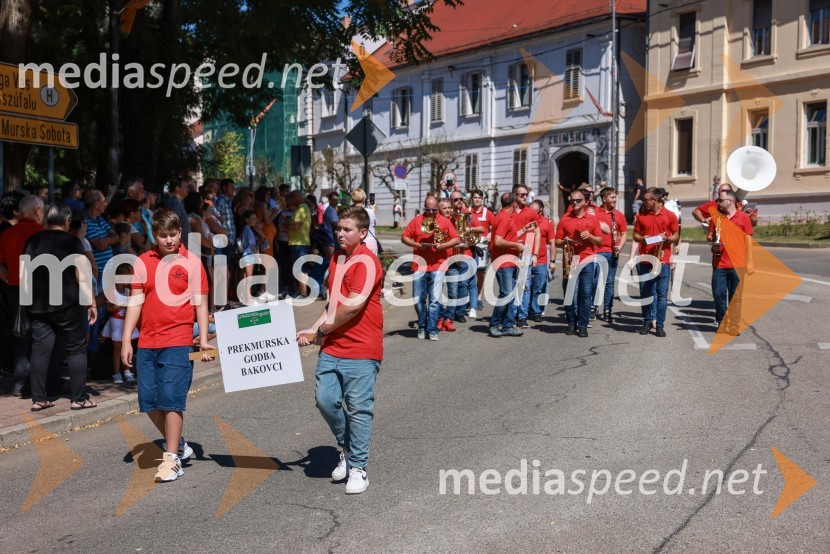 44. Lendavska trgatev