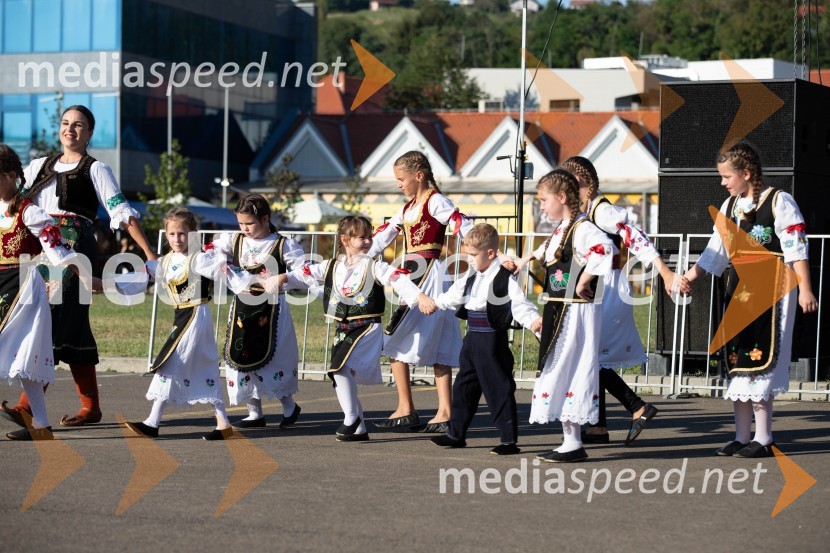 44. Lendavska trgatev