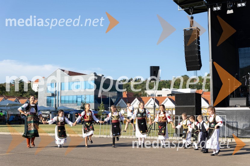 44. Lendavska trgatev