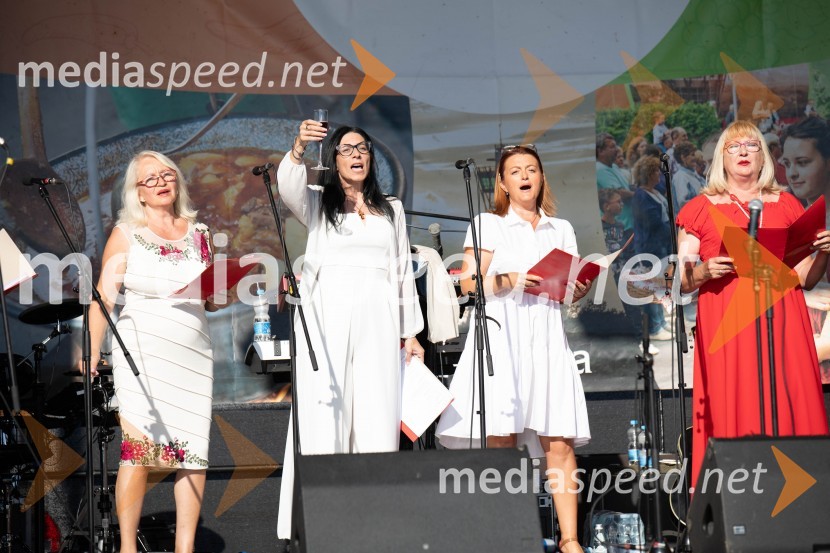 44. Lendavska trgatev