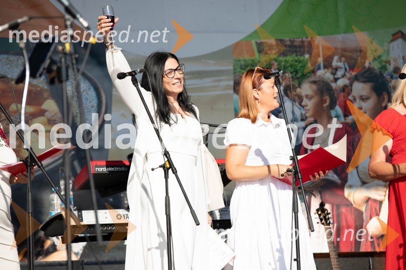 44. Lendavska trgatev