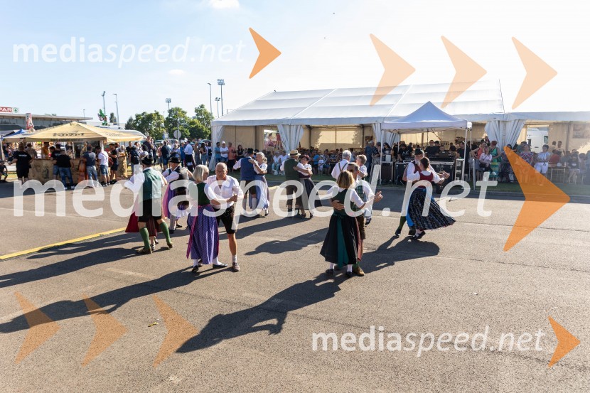 44. Lendavska trgatev