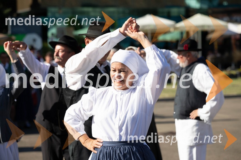 44. Lendavska trgatev