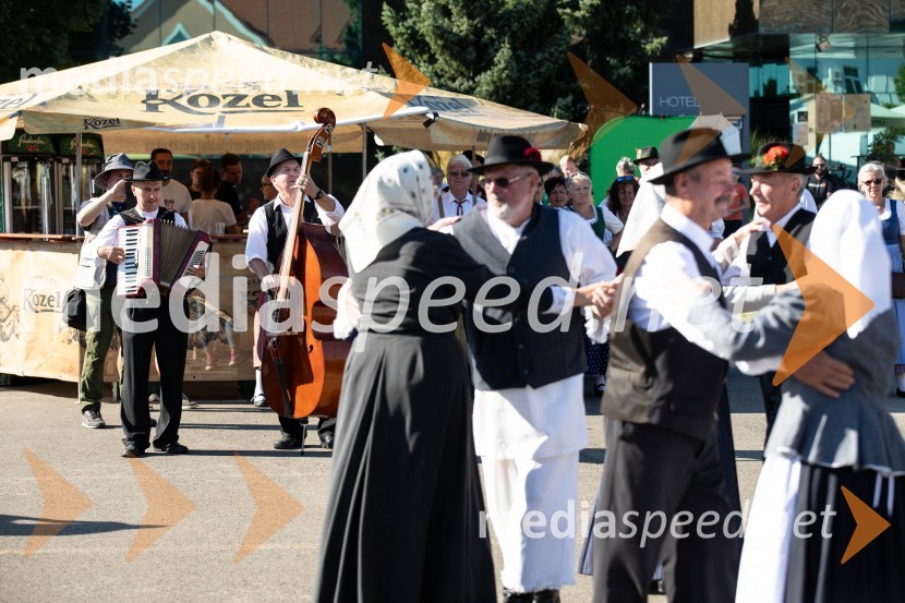 44. Lendavska trgatev