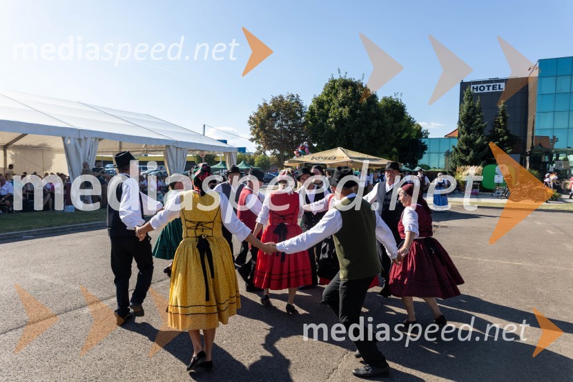 44. Lendavska trgatev