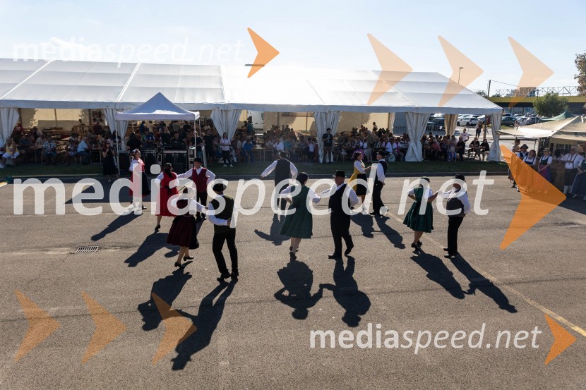 44. Lendavska trgatev