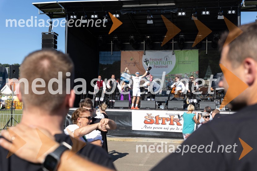 44. Lendavska trgatev