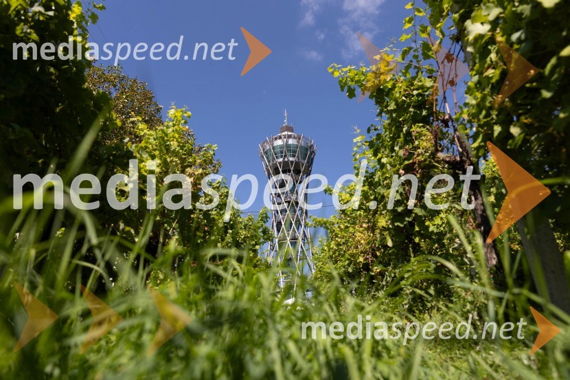 44. Lendavska trgatev