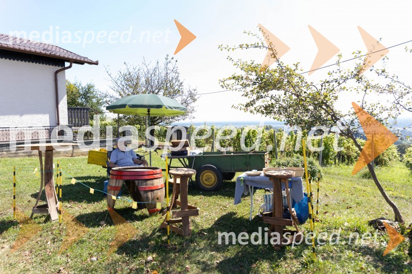 44. Lendavska trgatev