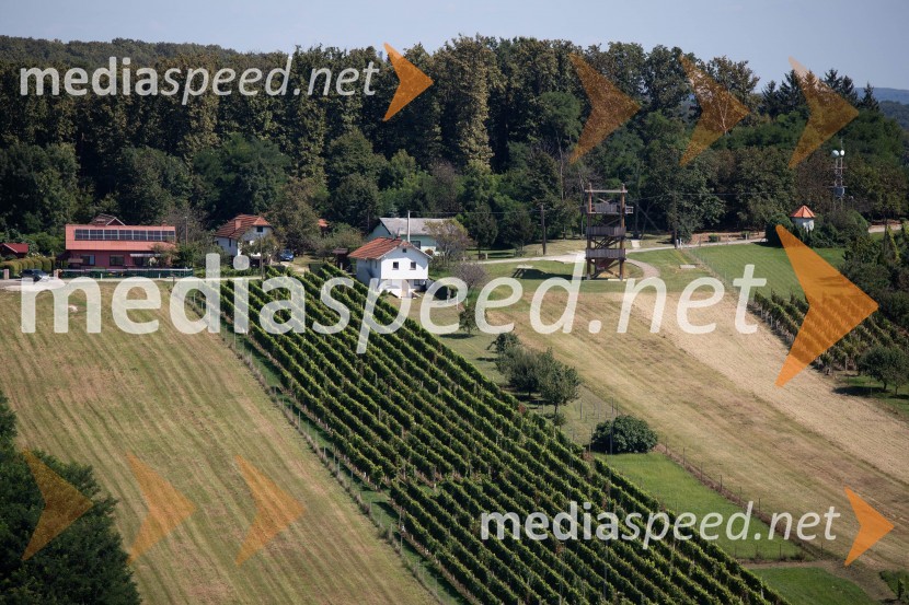 44. Lendavska trgatev