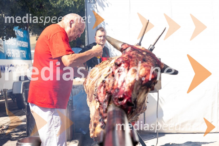 44. Lendavska trgatev