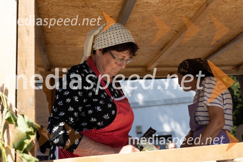 44. Lendavska trgatev