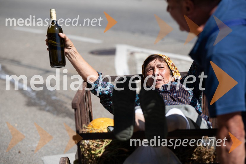 44. Lendavska trgatev