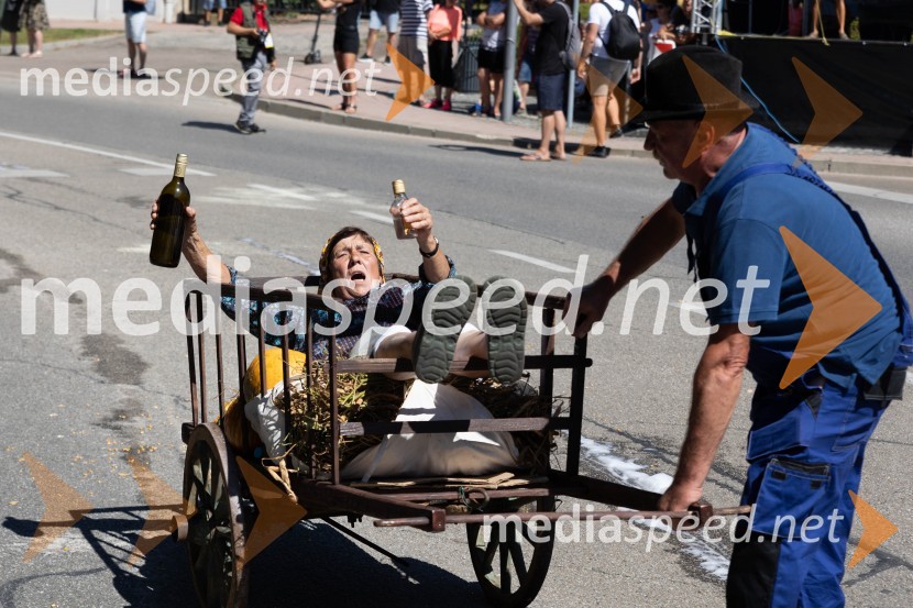 44. Lendavska trgatev