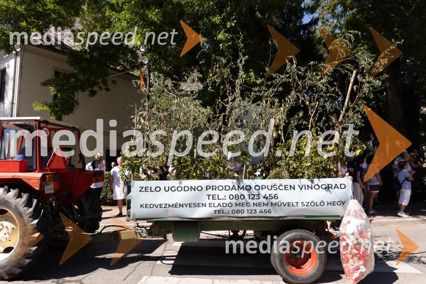 44. Lendavska trgatev