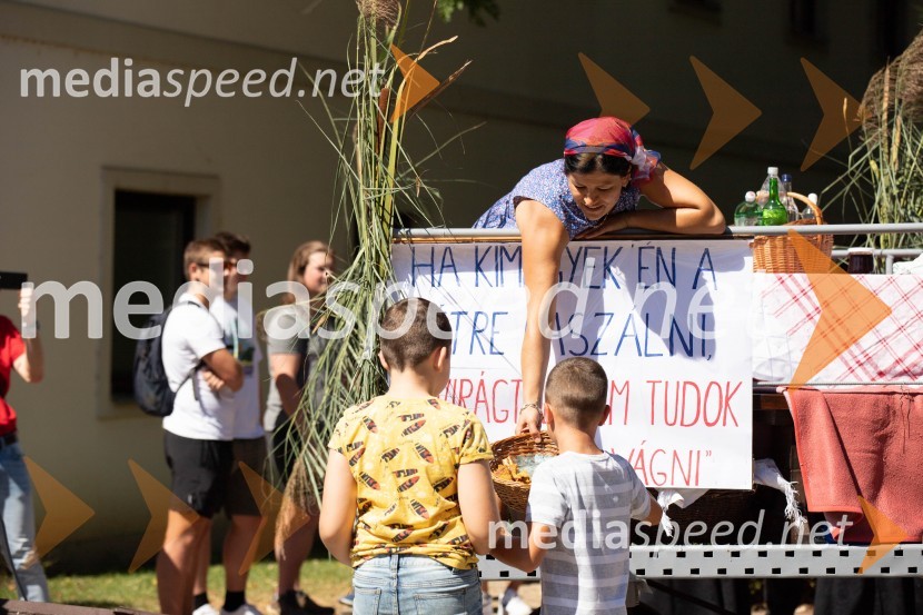 44. Lendavska trgatev