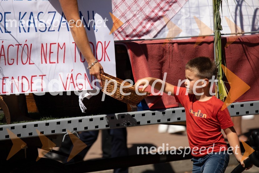 44. Lendavska trgatev