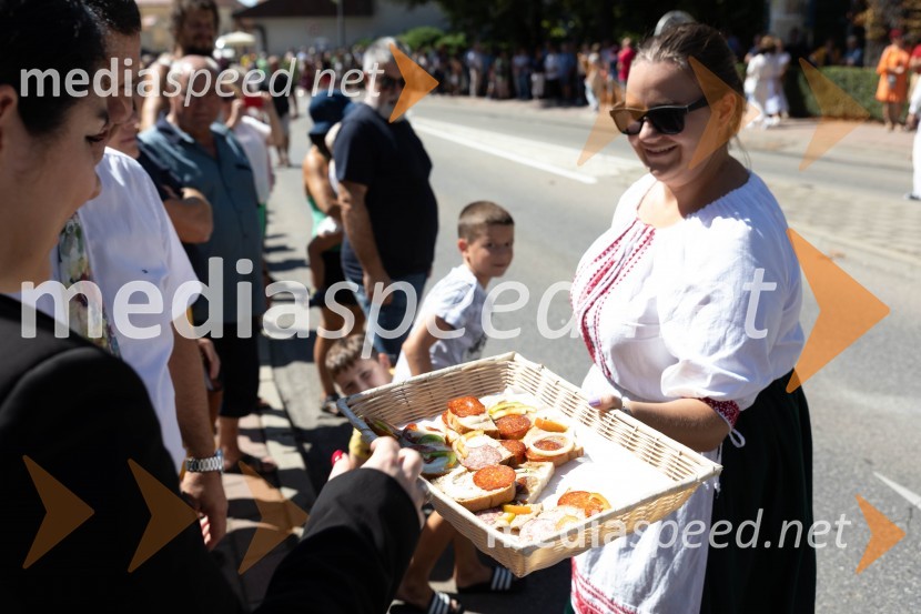 44. Lendavska trgatev