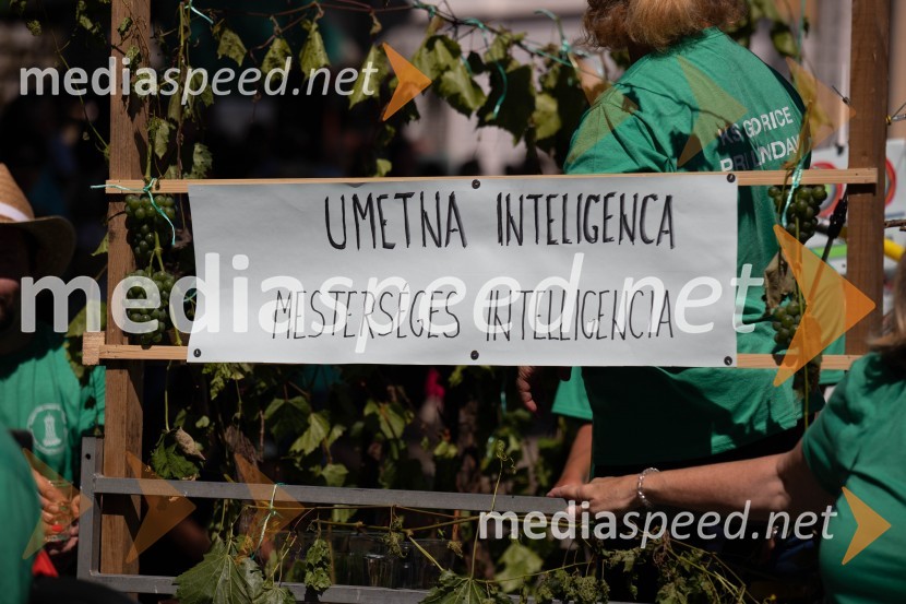 44. Lendavska trgatev