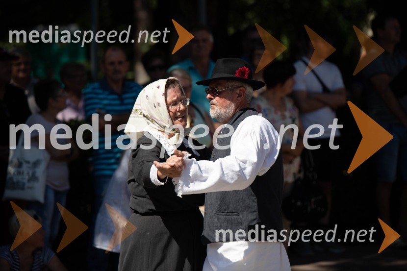 44. Lendavska trgatev