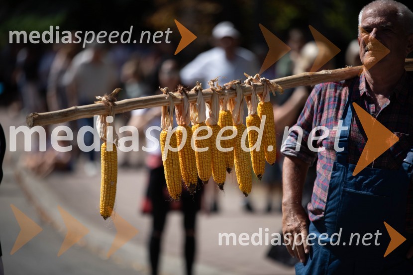 44. Lendavska trgatev