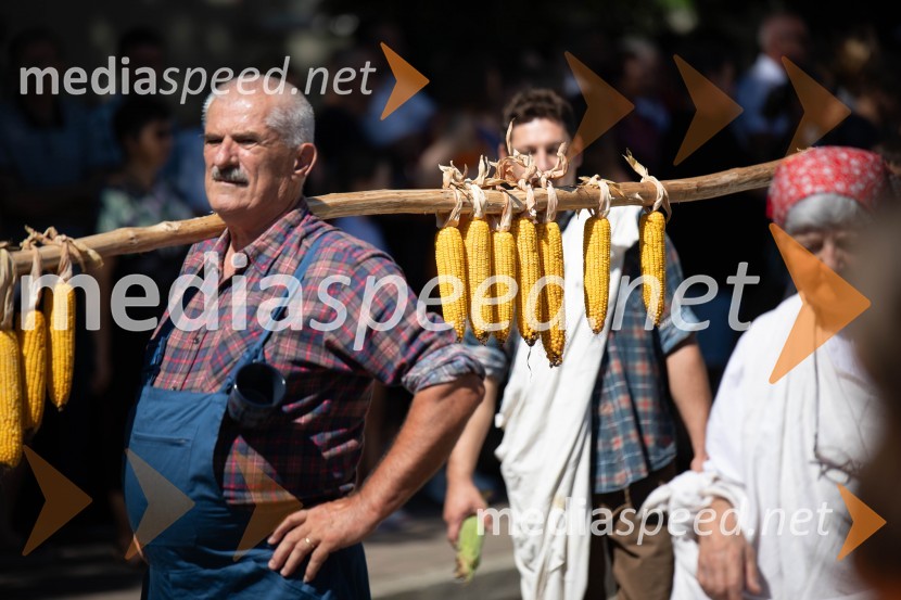 44. Lendavska trgatev