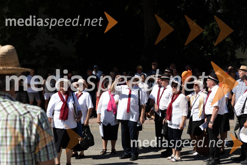 44. Lendavska trgatev