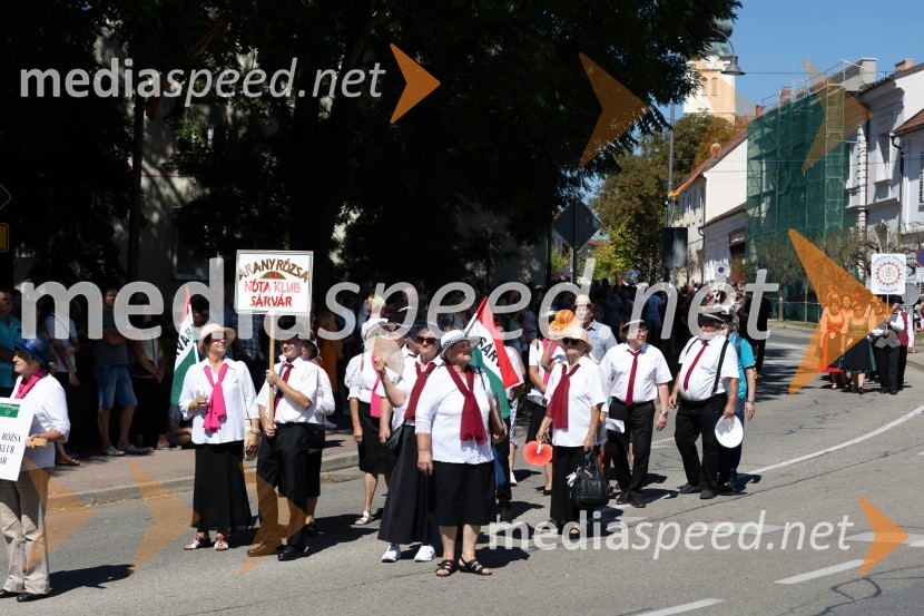 44. Lendavska trgatev