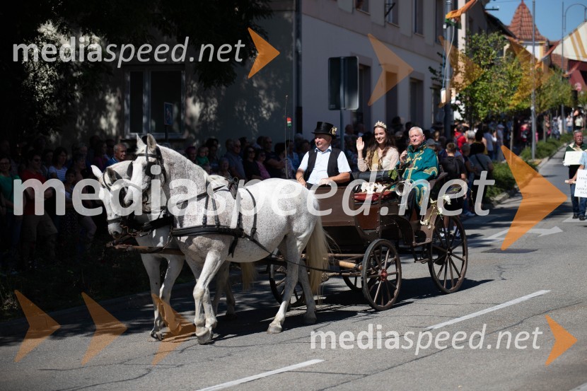 44. Lendavska trgatev