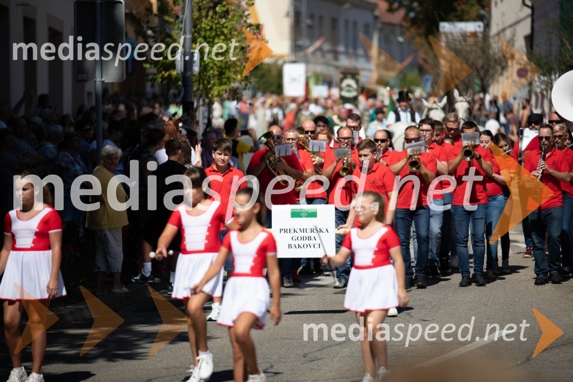 44. Lendavska trgatev