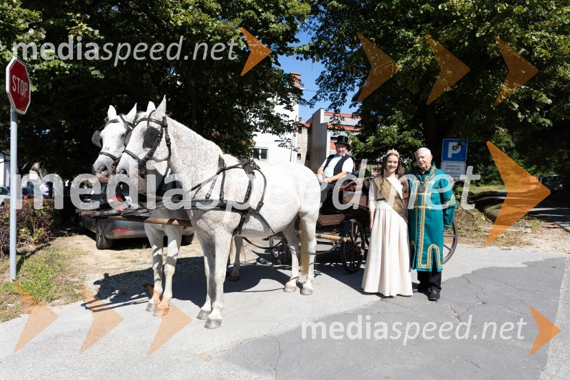 44. Lendavska trgatev