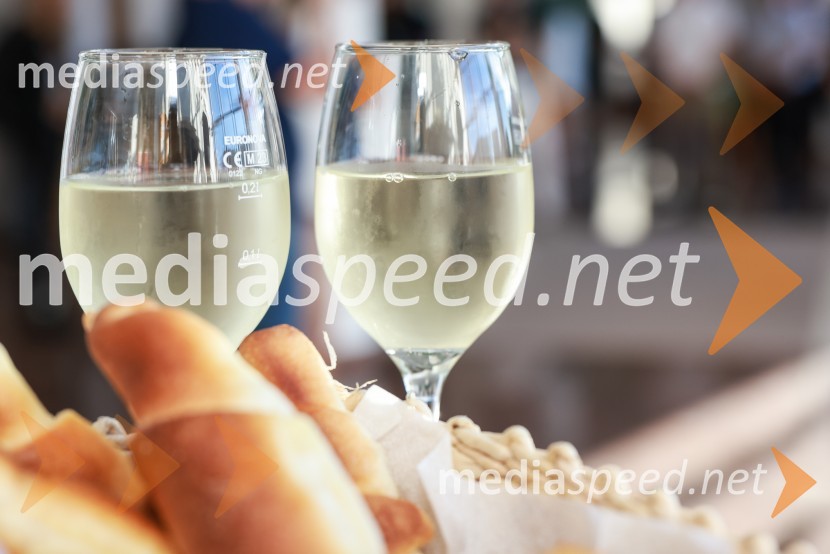 Večer lendavskih vin