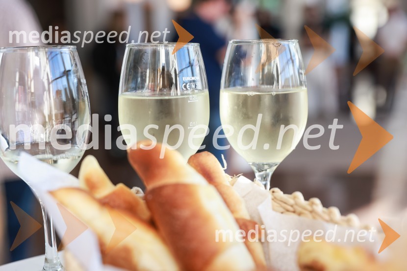 Večer lendavskih vin