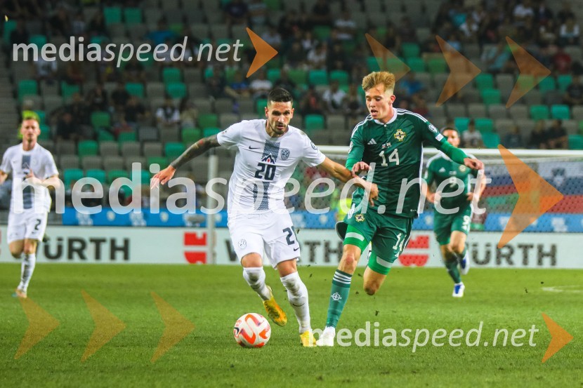 Slovenija v Stožicah premagala Severno Irsko