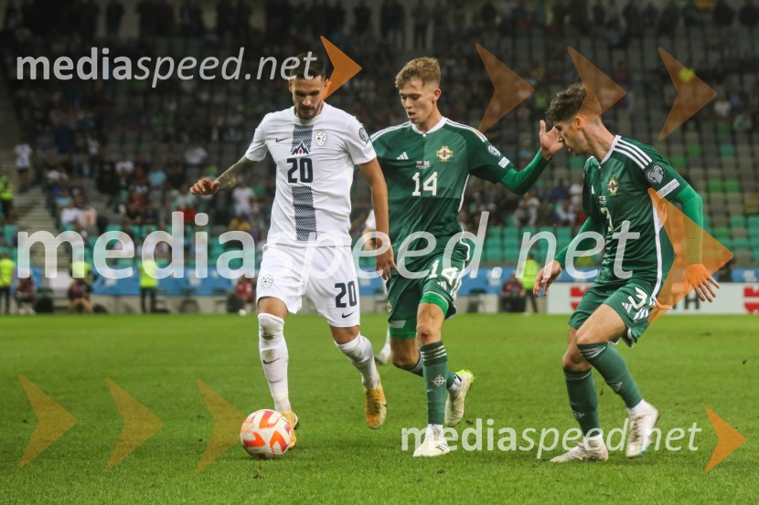 Slovenija v Stožicah premagala Severno Irsko