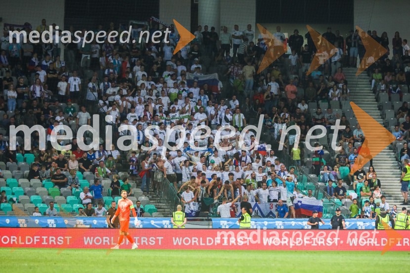 Slovenija v Stožicah premagala Severno Irsko