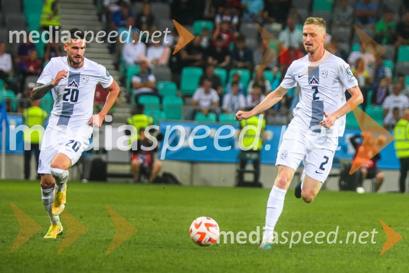 Slovenija v Stožicah premagala Severno Irsko