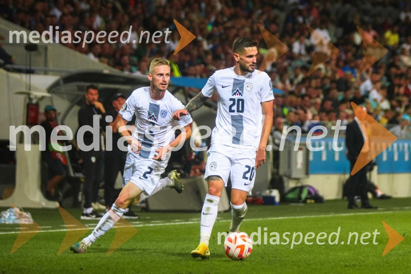 Slovenija v Stožicah premagala Severno Irsko