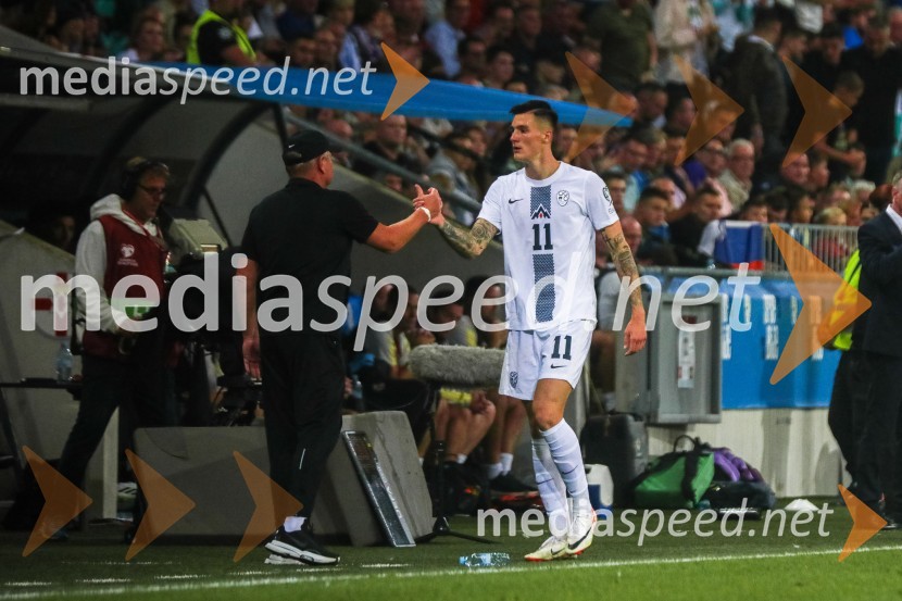 Slovenija v Stožicah premagala Severno Irsko