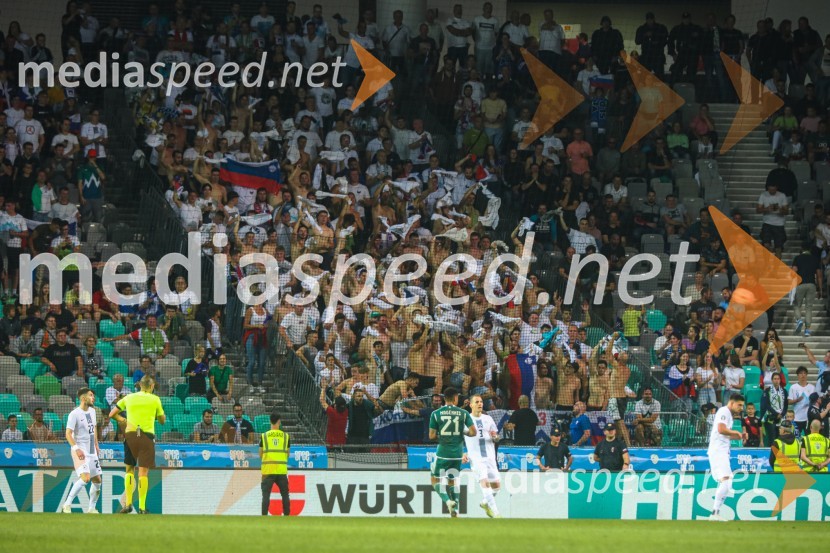 Slovenija v Stožicah premagala Severno Irsko