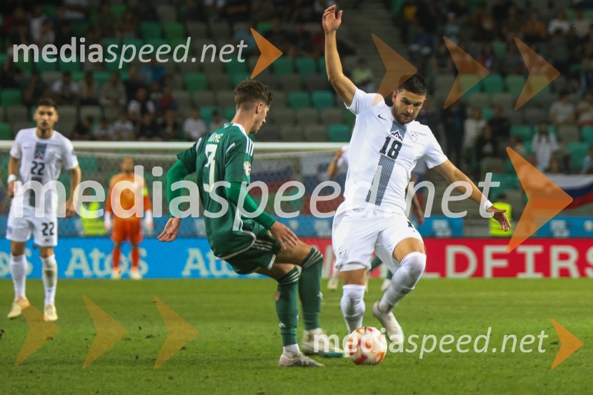 Slovenija v Stožicah premagala Severno Irsko